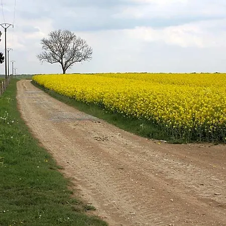 La Grange De Boulaines Méru