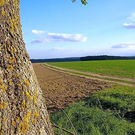 La Grange De Boulaines 3*