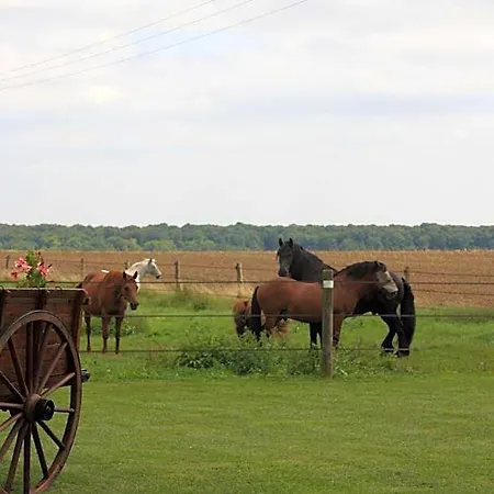 Bed & Breakfast La Grange De Boulaines