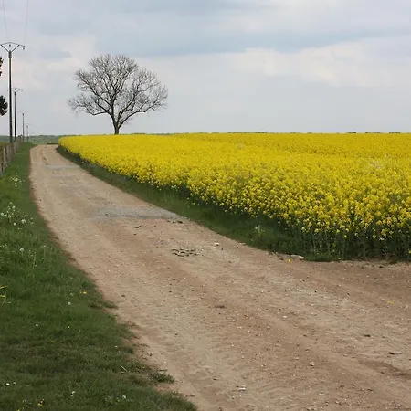 Bed & Breakfast La Grange De Boulaines