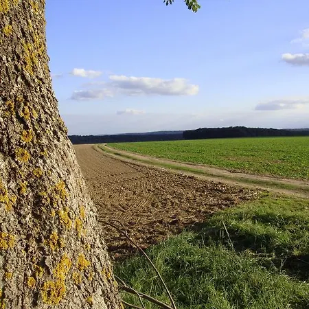La Grange De Boulaines Méru