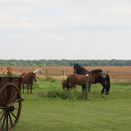La Grange De Boulaines