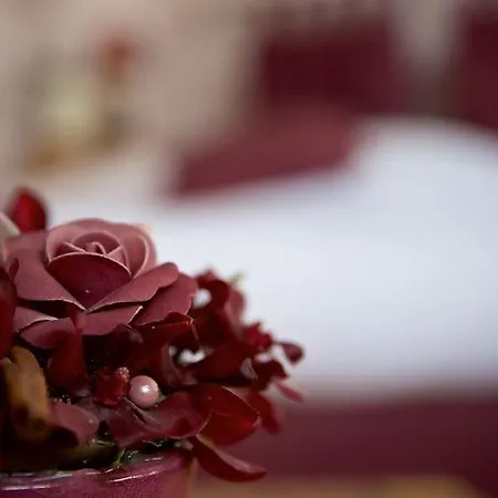 Couette-café La Grange De Boulaines 3*