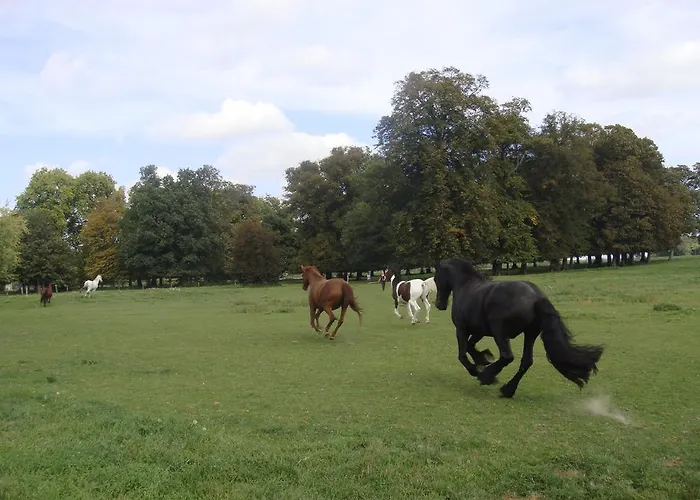 Bed & Breakfast La Grange De Boulaines 3*