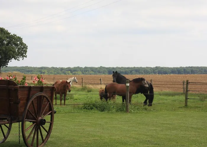 La Grange De Boulaines